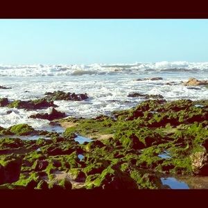 Meet your Posher, Canari